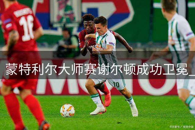 蒙特利尔大师赛谢尔顿成功卫冕 ATP排名跃升第六位