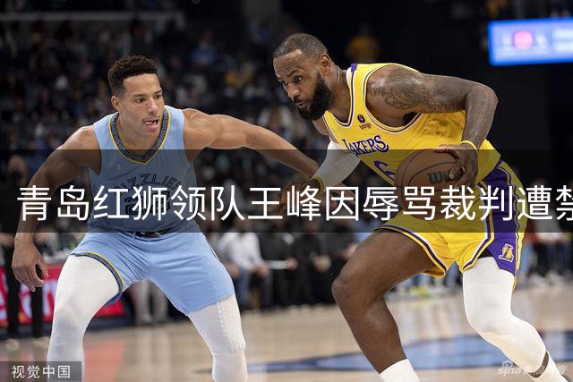 青岛红狮领队王峰因辱骂裁判遭禁赛罚款